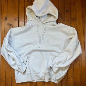 Aritzia Hoodie
